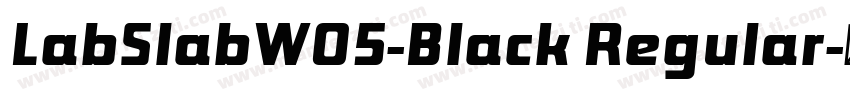 LabSlabW05-Black Regular字体转换